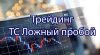 Скриншот 18-09-2024 132915.jpg